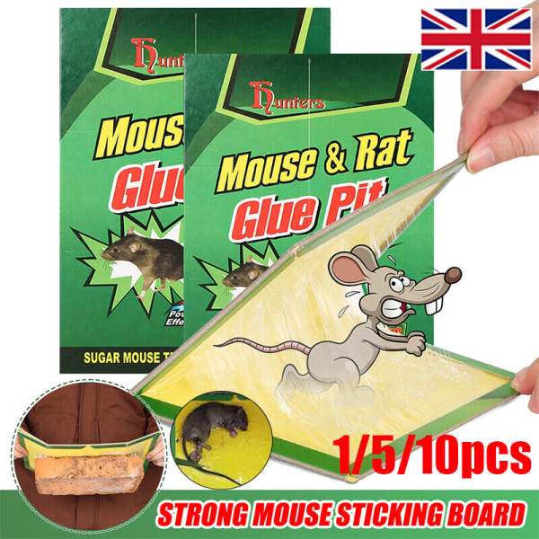 5/10 st Råttmöss Mus Bug Snare Lim Sticky Board 5pcs