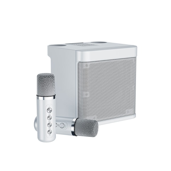 Trådlös karaokehögtalare - karaokeutrustning med trådlös mikrofon white