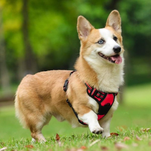 Stor hundsele med reflexlinje, anti-dragsele, hundträningssele, cykel- och löpväst, vadderad väst, justerbar bröststorlek red L