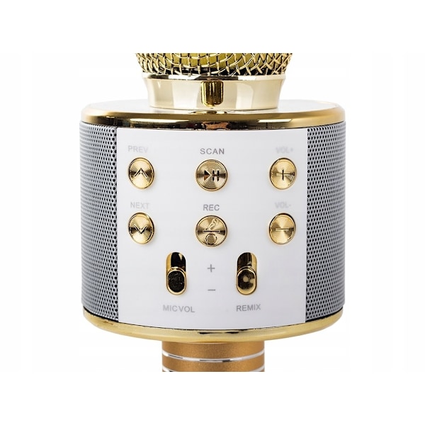 Setty Karaoke Trådlös Mikrofon med Bluetooth-högtalare - Guld Gold