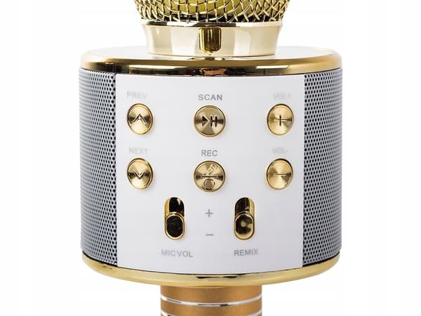 Setty Karaoke Trådlös Mikrofon med Bluetooth-högtalare - Guld Guld
