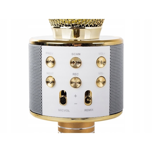 Karaoke Trådlös Mikrofon med Bluetooth-högtalare - Guld Guld