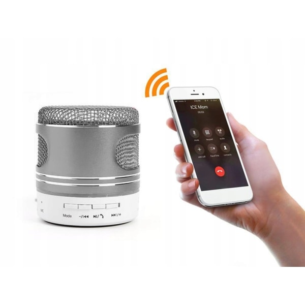 Bærbar Mini Bluetooth-højttaler FM-radio, Hukommelseskort, AUX Silver