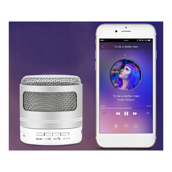 Kannettava Mini Bluetooth -kaiutin FM-radio, muistikortti, AUX Silver