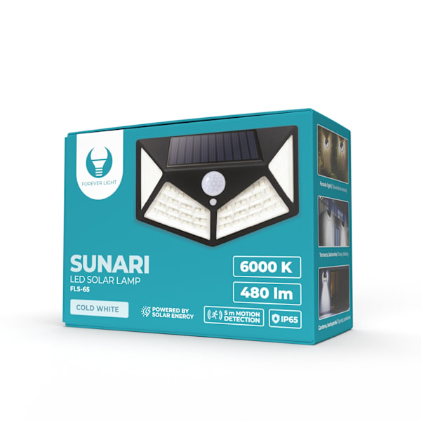 SUNARI Solar Lamp LED FLS-65 100*SMD PIR 6W 480lm 6000K 1200mAh Li-Ion Forever Light Svart