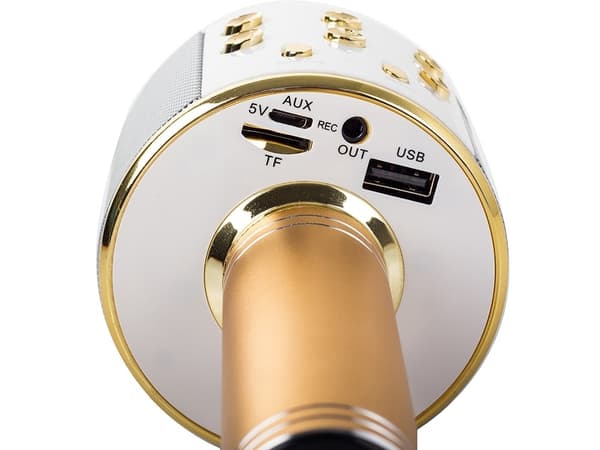 Setty Karaoke Trådlös Mikrofon med Bluetooth-högtalare - Guld Guld