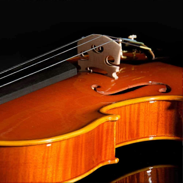 Premium Ahorn Violinbro Set af 5 til 1/4 Instrument Lærere