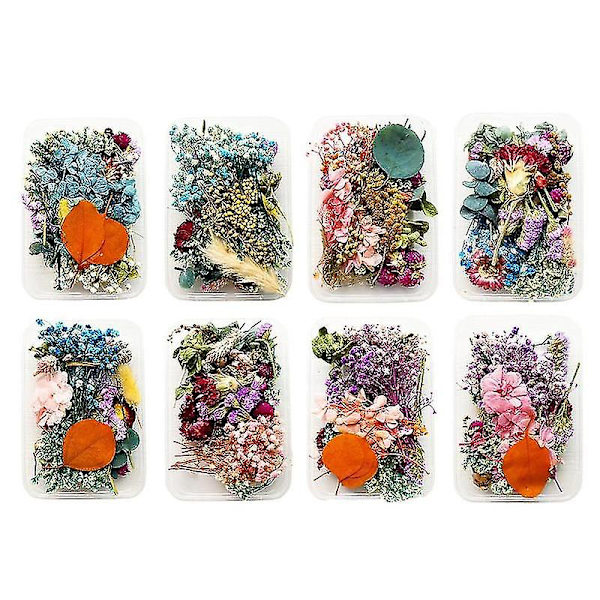 1 Æske Ægte Tørrede Blomster Til DIY Kunst Håndværk Epoxy Harpiks Fremstilling NE Smykker T7Z4