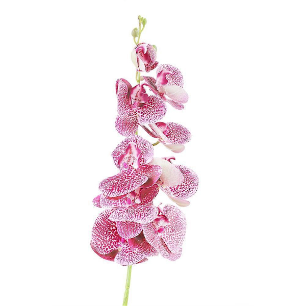 2 kpl Teko Phalaenopsis -kukka Simuloitu Perhonen Orkidea Koti- ja Toimisto Sisustus (Violetti)