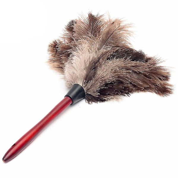 Anti-static Duster Feather Brush Dust Cleaning Tool with Wooden Handle