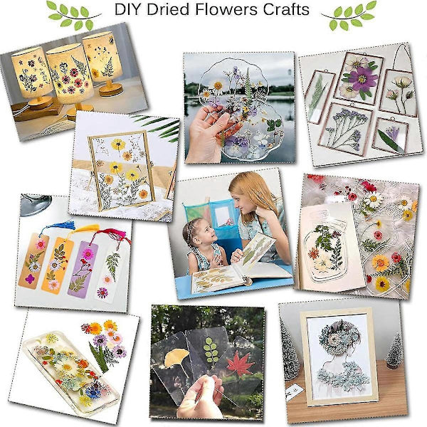Professionell Blompress-Set, 30X21cm DIY Blompress-Set för Vuxna för att Göra Torkade Blommor &-Yvan
