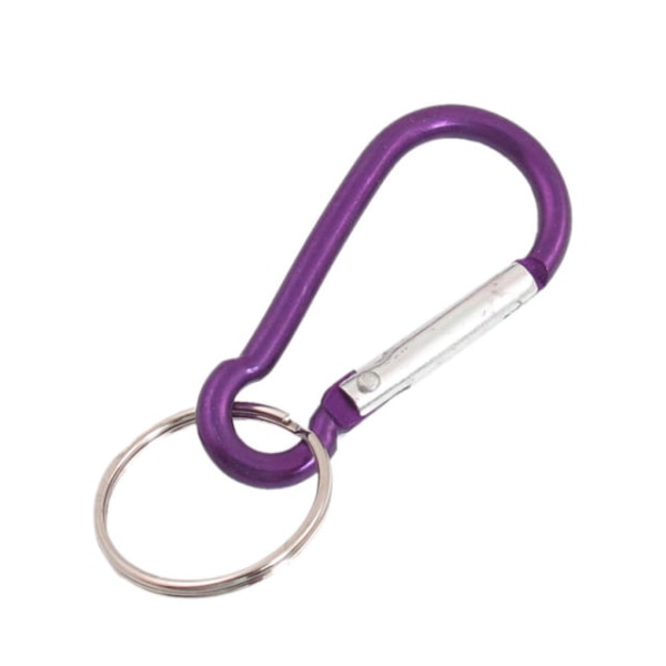 Nyckelring / Nyckelknippa Med Karbinkrok () purple one size