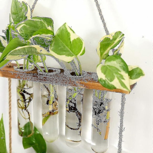 Väggmonterad Växtglasförökningsstation Rör Blomsterterrarium Med Träställning Modern Vas A