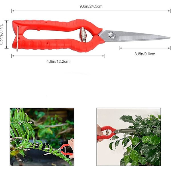 Havesaks med Ekstra Langt Blad 245 mm Havebeskæringsaks Rustfrit Stål Blomst Saks til Bonsai Frugttræer