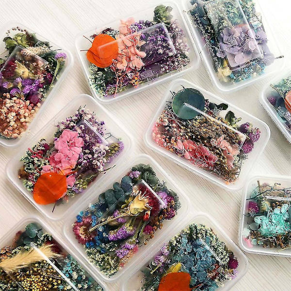 1 Æske Ægte Tørrede Blomster Til DIY Kunst Håndværk Epoxy Harpiks Fremstilling NE Smykker T7Z4