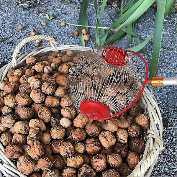 Pähkinänkerääjä - Sivuava Dump-Pähkinänkerääjä - Rullaava Käpyjenkerääjä - Yvan