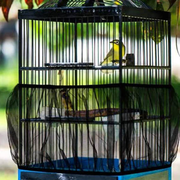 Universal Fågelbur Seed Catcher Nylon Mesh Papegojbur Skjort