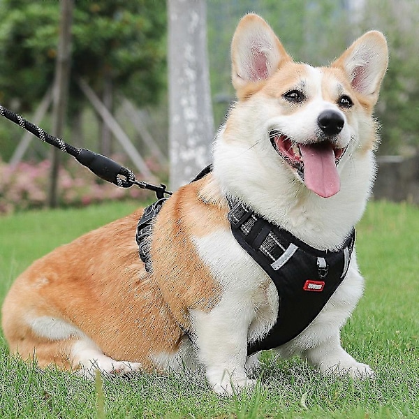 Andningsbart Hundsele Reflekterande Säkerhetsväst med Kontrollhandtag Black L