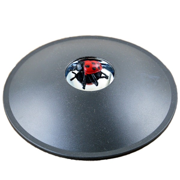 3D Hologram Bildskapare Instant Mirascope Leksak för Barn och Vuxna Vetenskaplig Utbildning Nyhet Present ladybug