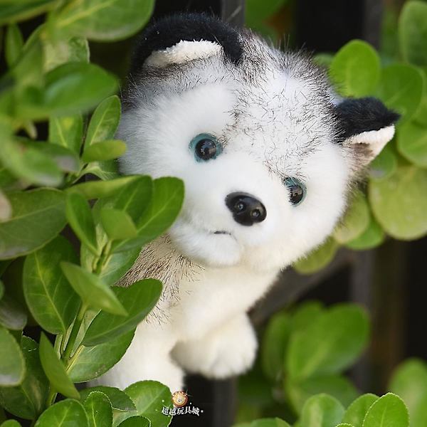 8 tommers Husky-hunder, myk Husky-ulv, bamse, leketøy, valpe-dukke, simulert hund