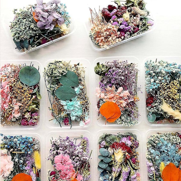 1 Æske Ægte Tørrede Blomster Til DIY Kunst Håndværk Epoxy Harpiks Fremstilling NE Smykker T7Z4