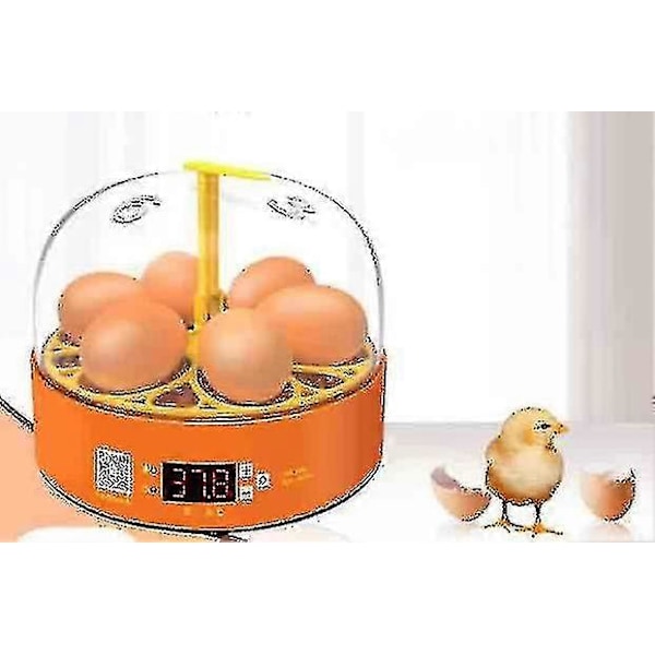 Automatisk Inkubator for 6 Egg, Automatisk Eggvending