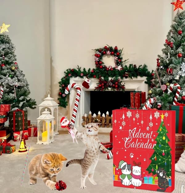 Julekalender med katteleker, 12 dager interaktive leker, nedtelling til jul, for katteelskere