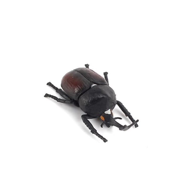 Simulointi raajahyönteisten eläinmalli, Cobra Mantis Beetle hiekkapöydän koristelu