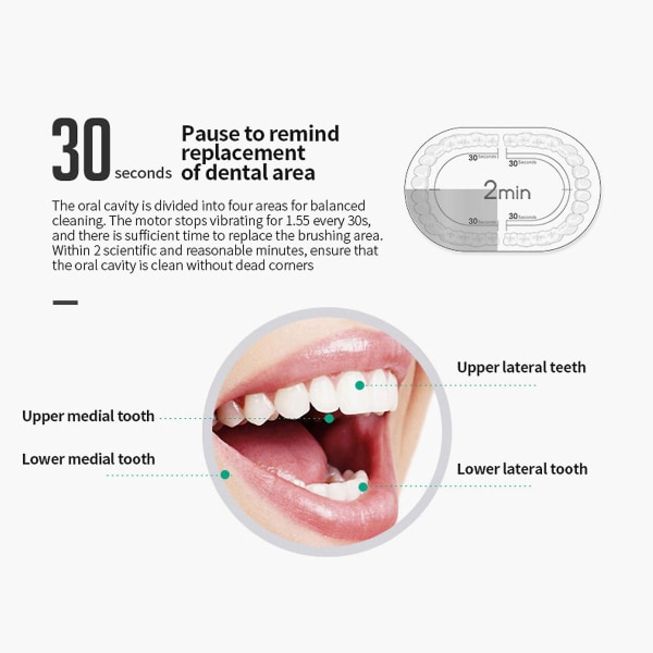 Kauneuden ja henkilökohtaisen hygienian sähköinen hammasharja 6 toimintoa syväpuhdistava kannettava aikuisten matkahammasharja 6 vaihtoharjaspäällä