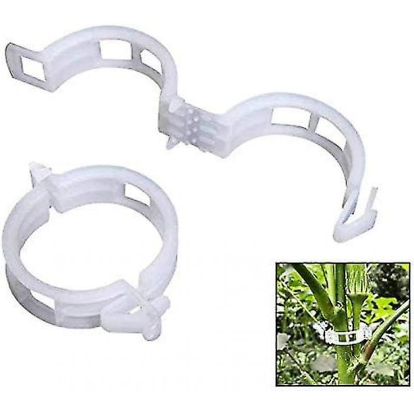 Plant Clips, Plastic, Clamps, Hanging Clips, Vine Clips, Vine Clipsplant Clips Support Tomatoes, Peppers, Vine Plants And Flowers Of Upright Developme