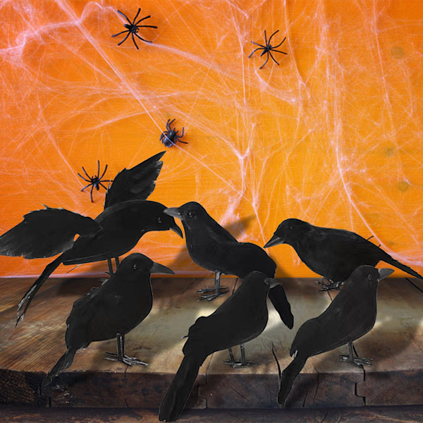 Halloween Svart Kråke Halloween Hagedekorasjon Kråke Seksdelt Sett