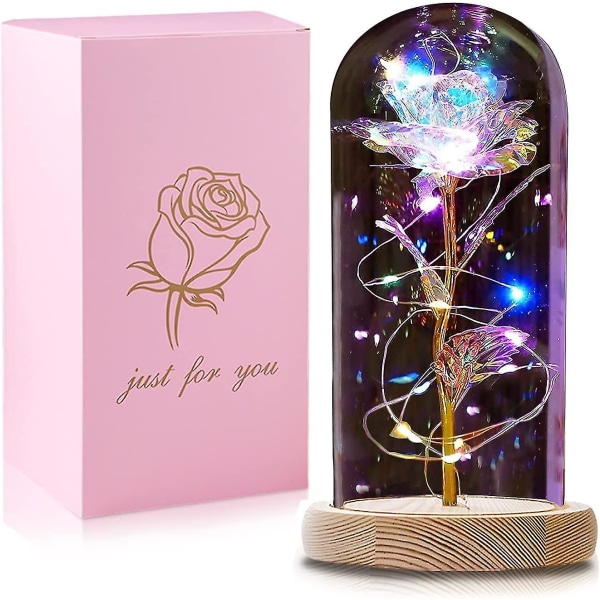Gaver til kvinder, evig rose i krukke Skønheden og udyret Rose i glaskuppel med led lys, gaver til fødselsdag Mor Kæreste Bedstemor