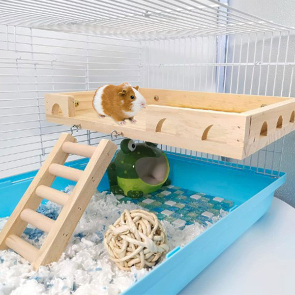 Liten djurplattform klätterbur stege för hamster råtta möss papegoja habitat