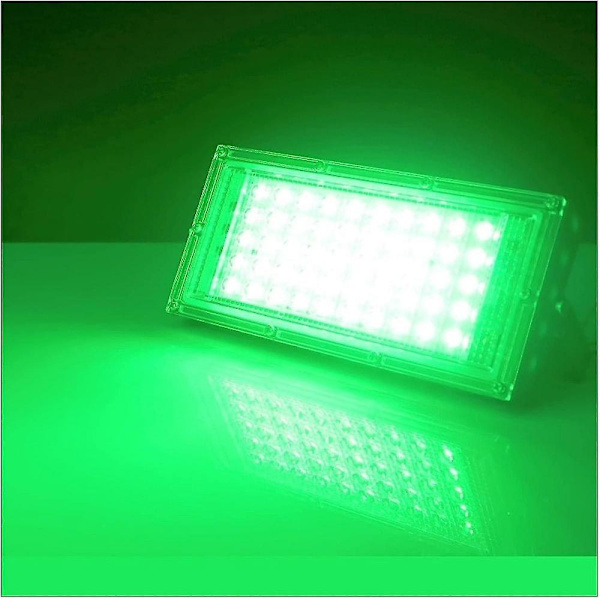 Led-projektør til udendørs brug 50w Led-projektørlampe Udendørs projektør Led-spotlight Grøn havebelysning Vandtæt Led fra Chuaidu Shop