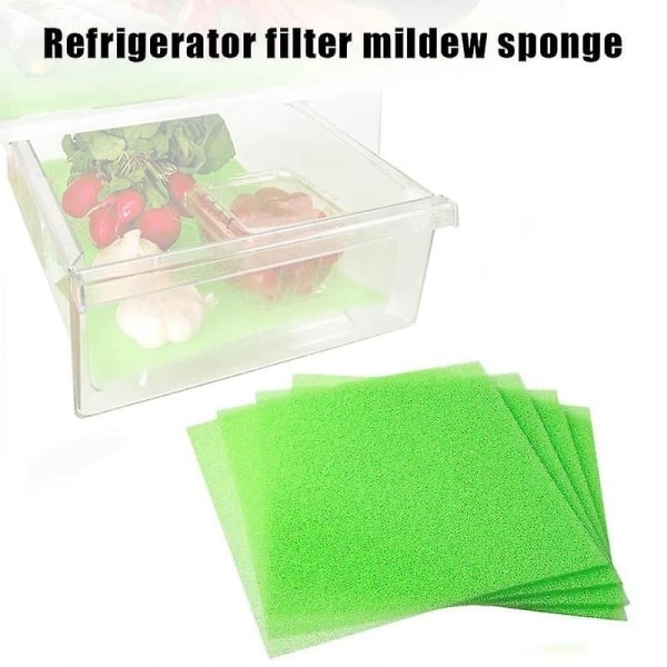 Kjøleskapsfiltersvamp - Anti-mugg kjøleskapsfiltersvamp, muggbestandig frukt og grønnsaker Sp