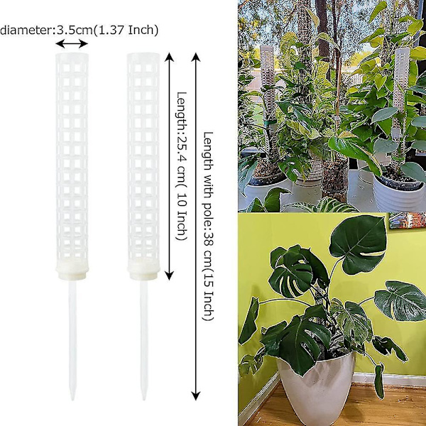 6 st plastmossstänger 15 tum transparent mossnätstång liten mossstångspik för växter Monstera