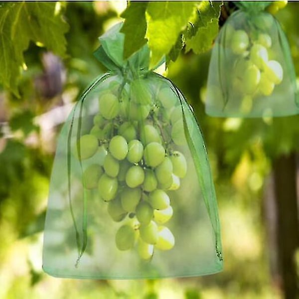 Starlight-200 delar Bunch Protection Bag Grape Fruit Organza Bag