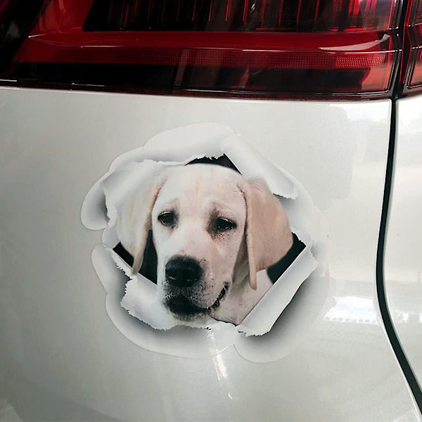 Bilsticker, 3D Bilstickers Vinyl Bilstickers Rolig Kreativ Hund Bilsticker Dekal för Fönster, Vägg