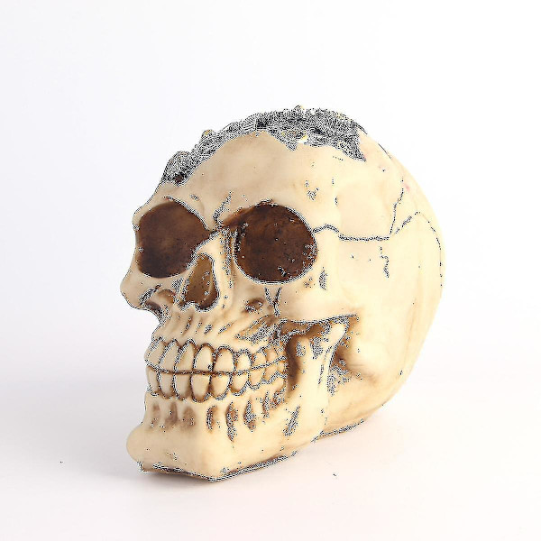 Waner Th Halloween ihmispään kalloluuranko veistos - Halloween-koriste-esine kodin sisustus - Koriste-esineet Halloween-juhliin (1 kpl, sekoitusväri