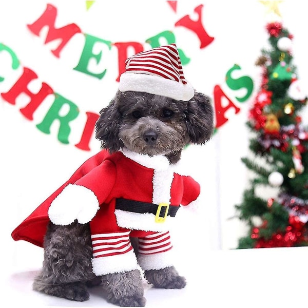 Koiran ja kissan joulupukin puku, lemmikkieläinten jouluvaatteet