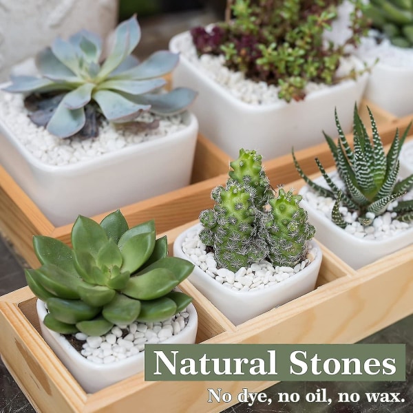 5 pund vita dekorativa stenar för växt, naturligt ärtgrus för suckulent, vas, akvarium, landskap, matt konsistens, 1/5 tum 5,0 pund