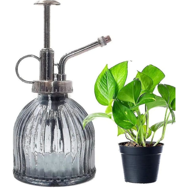 Växtspruta, Sprayflaska Glas Blomma Vatten Sprayburk Kruka Vintage Style Sprayer Med Pump Dekorativt glas (grå)