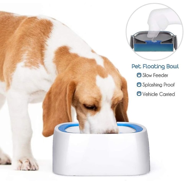 Hundevandskål, overløbssikker hundeskål, vandskål mod spild til kæledyr, undgå våd mund Langsomt flydende vandskål, hold vandet køligt