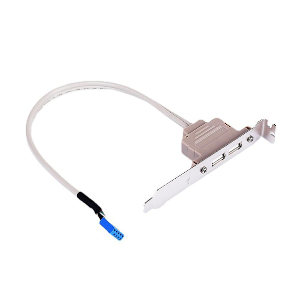 Computer Braket Motherboard 9pin Til 2 Porte Usb 2.0 Hunkontakt Bagpanel