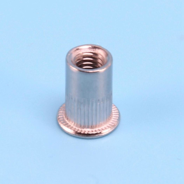 100 stk. 304 Rustfrit Stål Nøddeskruer Rivnut Insert Nutsert M6x15mm