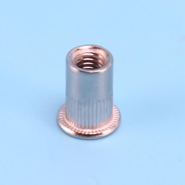 100 stk 304 Rustfritt Stål Nytte-mutter Rivmutter Innsatsmutter M6x15mm