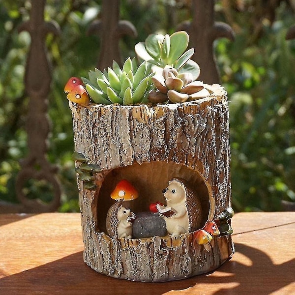 Söpö Hedgehog-kukkaruukku, bonsai-kasvi