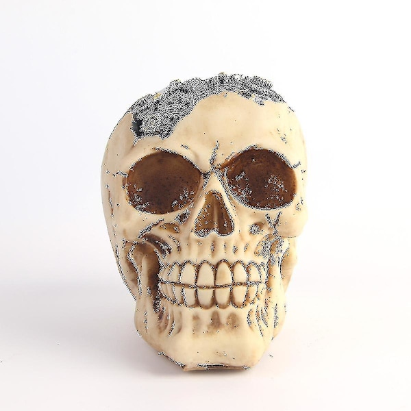 Waner Th Halloween Menneskehoved Kranie Skelet Skulptur - Halloween Dekoration Ornament Hjem Dcor - Dekoration Rekvisitter Til Halloween Fest (1stk, Mixcolor