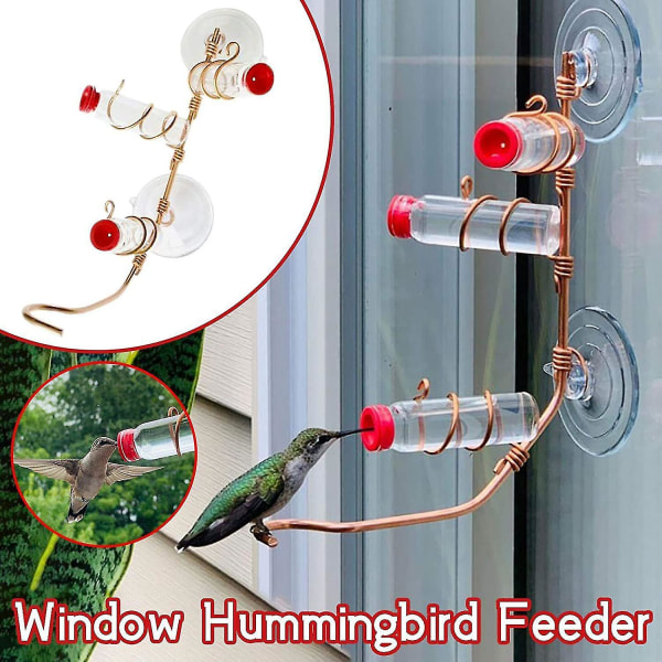 Moderni ikkunaan riippuva Hummingbird syöttölaite imukupilla ulkopuutarhalintujen ruokkimiseen