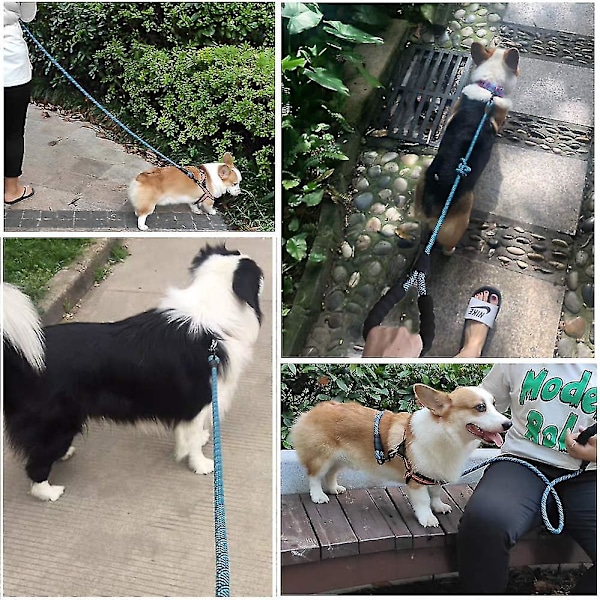 Hunde line, til store mellemstore hunde små hvalpe style 3